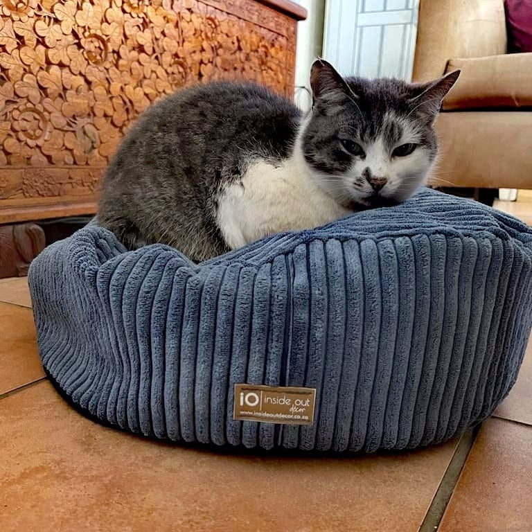 Pet Beds