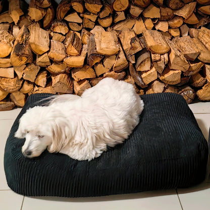 Pet Beds