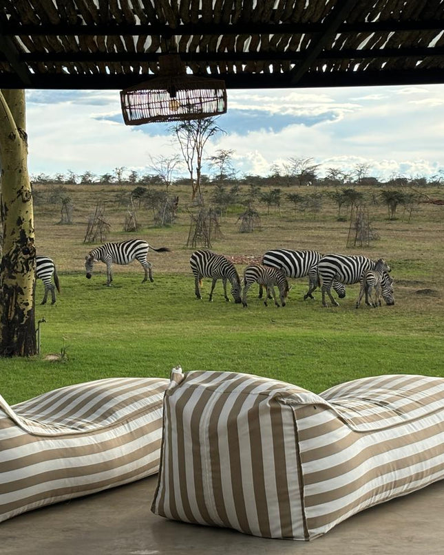 Beige Striped outdoor daybed lounger with a scenic view of zebras in a grassy field.