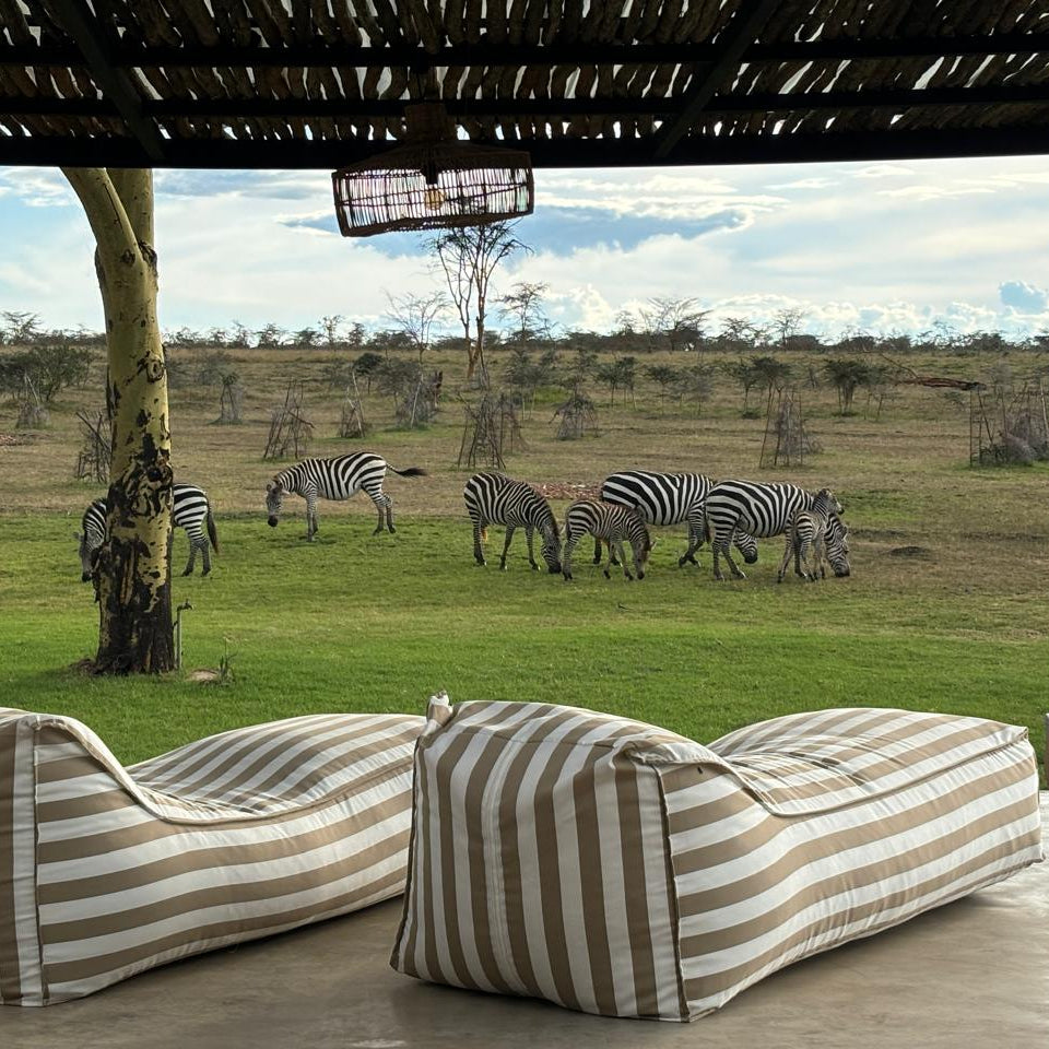 Beige Striped outdoor daybed lounger with a scenic view of zebras in a grassy field.
