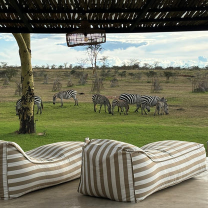 Beige Striped outdoor daybed lounger with a scenic view of zebras in a grassy field.