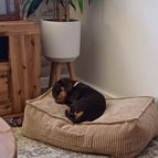 Small (40 x 60cm) / Pooch Pad (Filled Item) / Cappuccino