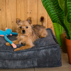 Small (40 x 60cm) / Pooch Pad (Filled Item) / Charcoal