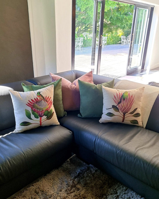 Scatter Cushions - Indoor