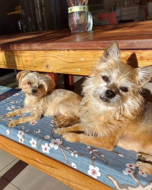 Indoor Bench Cushions