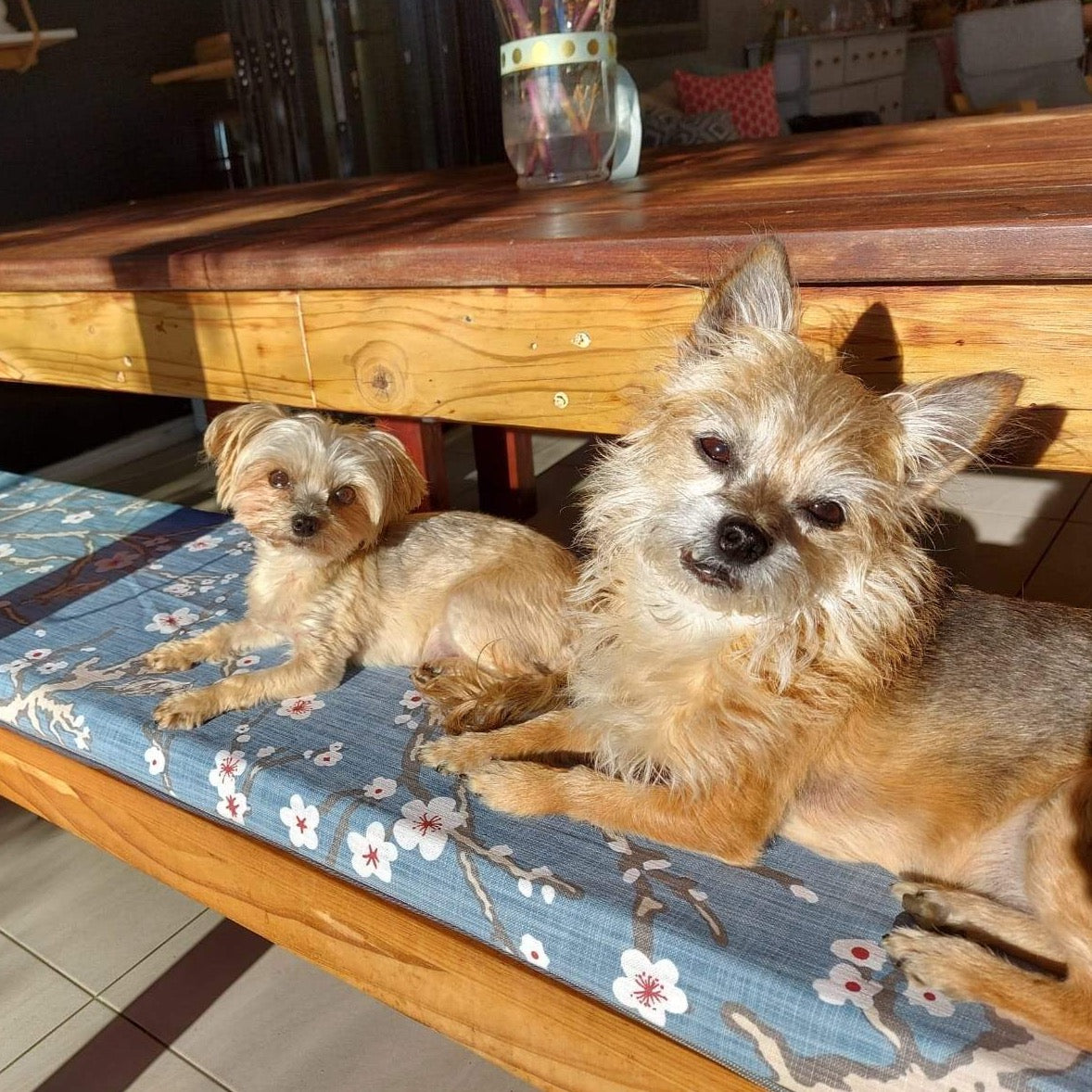 Indoor Bench Cushions